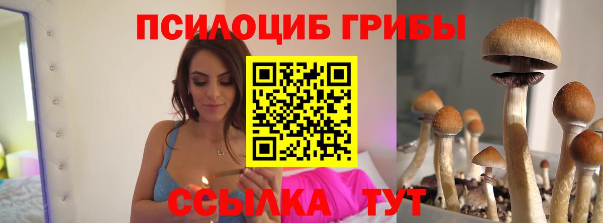 Псилоцибиновые грибы Cubensis Алушта